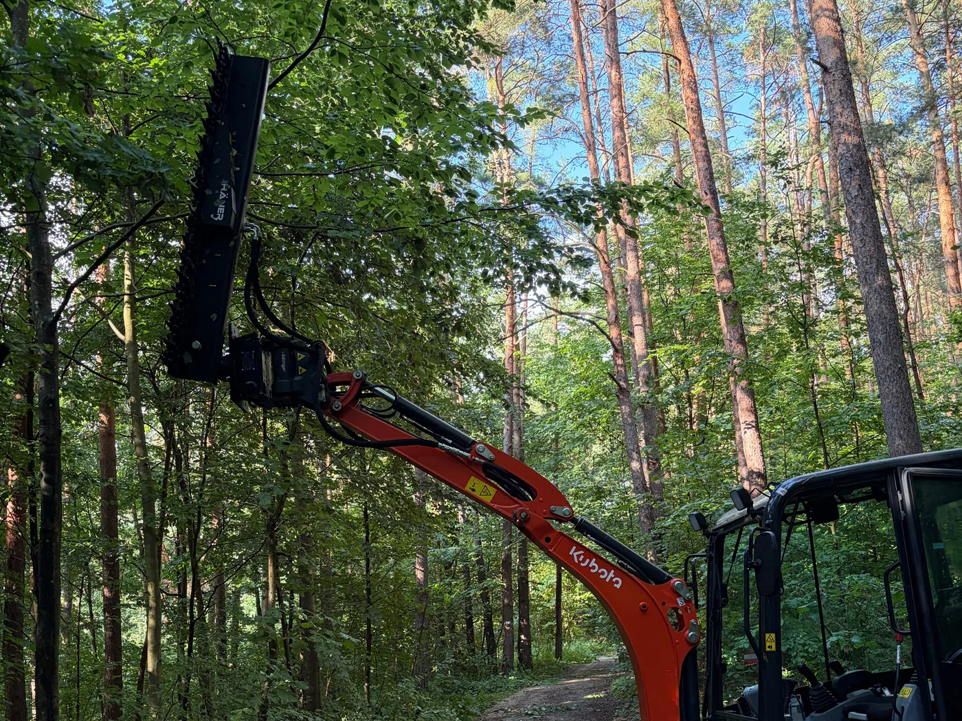 Kubota Minibagger mit Astschere am Ausleger beim Freischnitt an einem Waldweg
